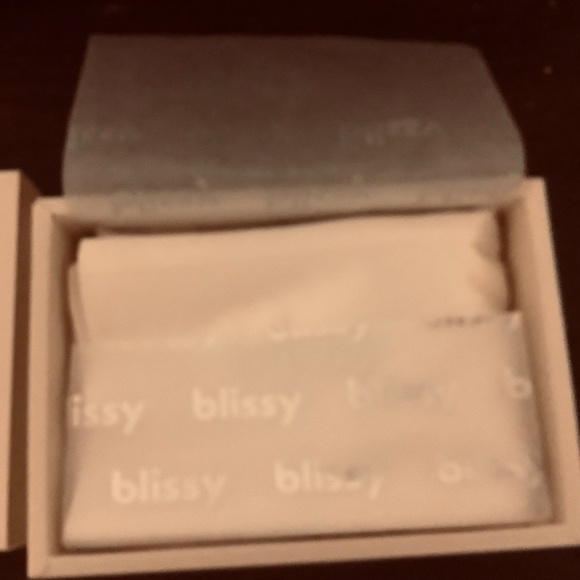 NIB BLISSY 100% Mulberry Silk Queen Pillowcase in White - Picture 3 of 6